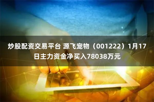炒股配资交易平台 源飞宠物（001222）1月17日主力资金净买入78038万元