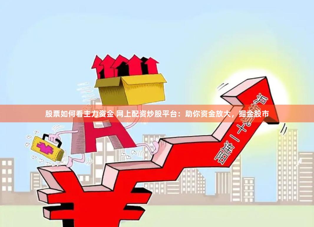 股票如何看主力资金 网上配资炒股平台：助你资金放大，掘金股市