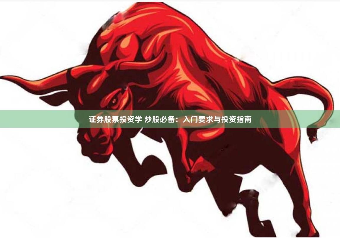 证券股票投资学 炒股必备：入门要求与投资指南