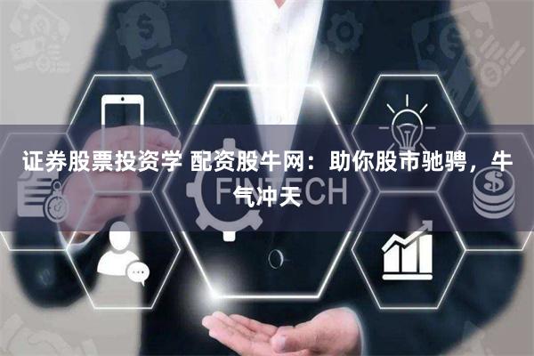 证券股票投资学 配资股牛网：助你股市驰骋，牛气冲天